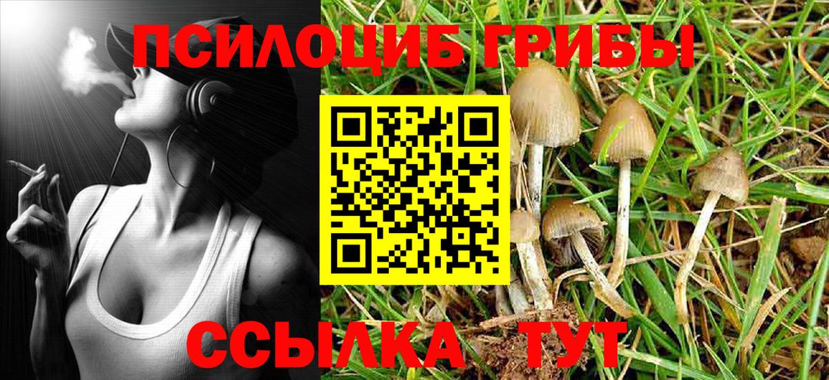 Калининград  Галлюциногенные грибы MAGIC MUSHROOMS  Вход с VPN 